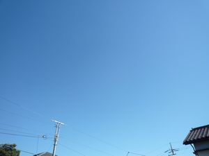 青い空.jpg